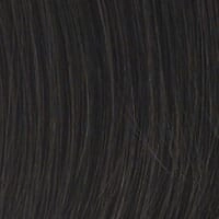 Accessories_Raquel Welch_Wigs Voltage Petite by Raquel Welch