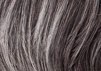 Accessories_Raquel Welch_Wigs Voltage Petite by Raquel Welch