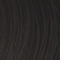 Accessories_Raquel Welch_Wigs Voltage Petite by Raquel Welch