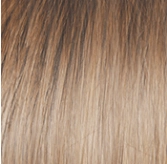 Accessories_Raquel Welch_Wigs Voltage Wig by Raquel Welch | Synthetic (Basic Cap)