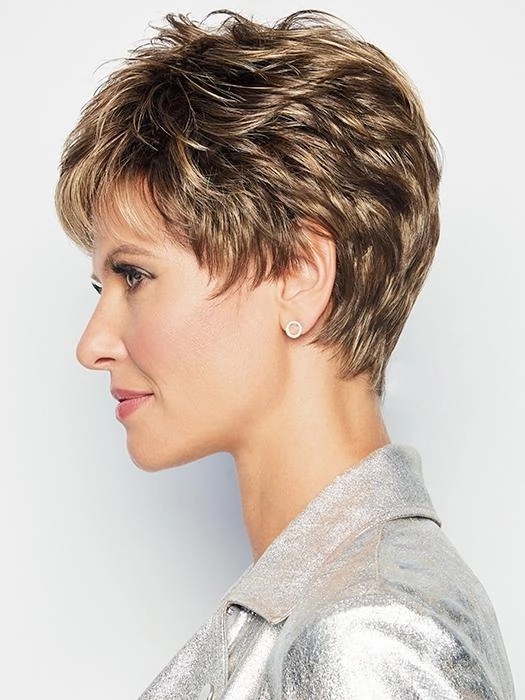 Accessories_Raquel Welch_Wigs Winner