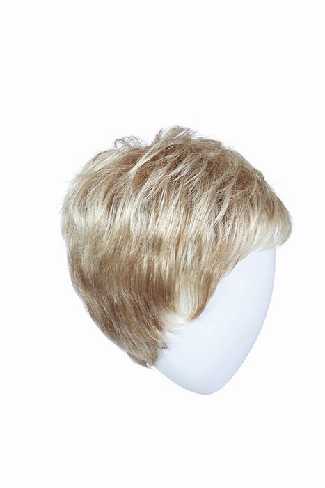 Accessories_Raquel Welch_Wigs Winner Elite