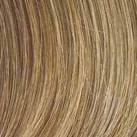Accessories_Raquel Welch_Wigs Winner Elite Monofilament Wig by Raquel Welch