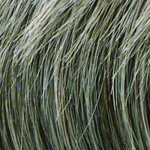 Accessories_Raquel Welch_Wigs Winner LARGE Wig by Raquel Welch
