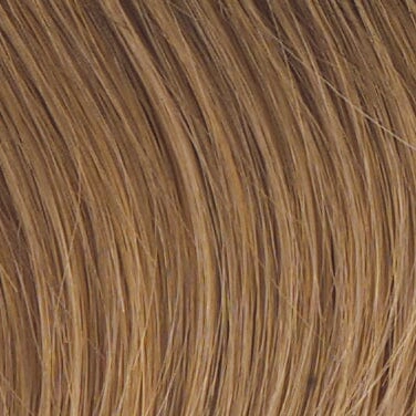 Accessories_Raquel Welch_Wigs Winner LARGE Wig by Raquel Welch