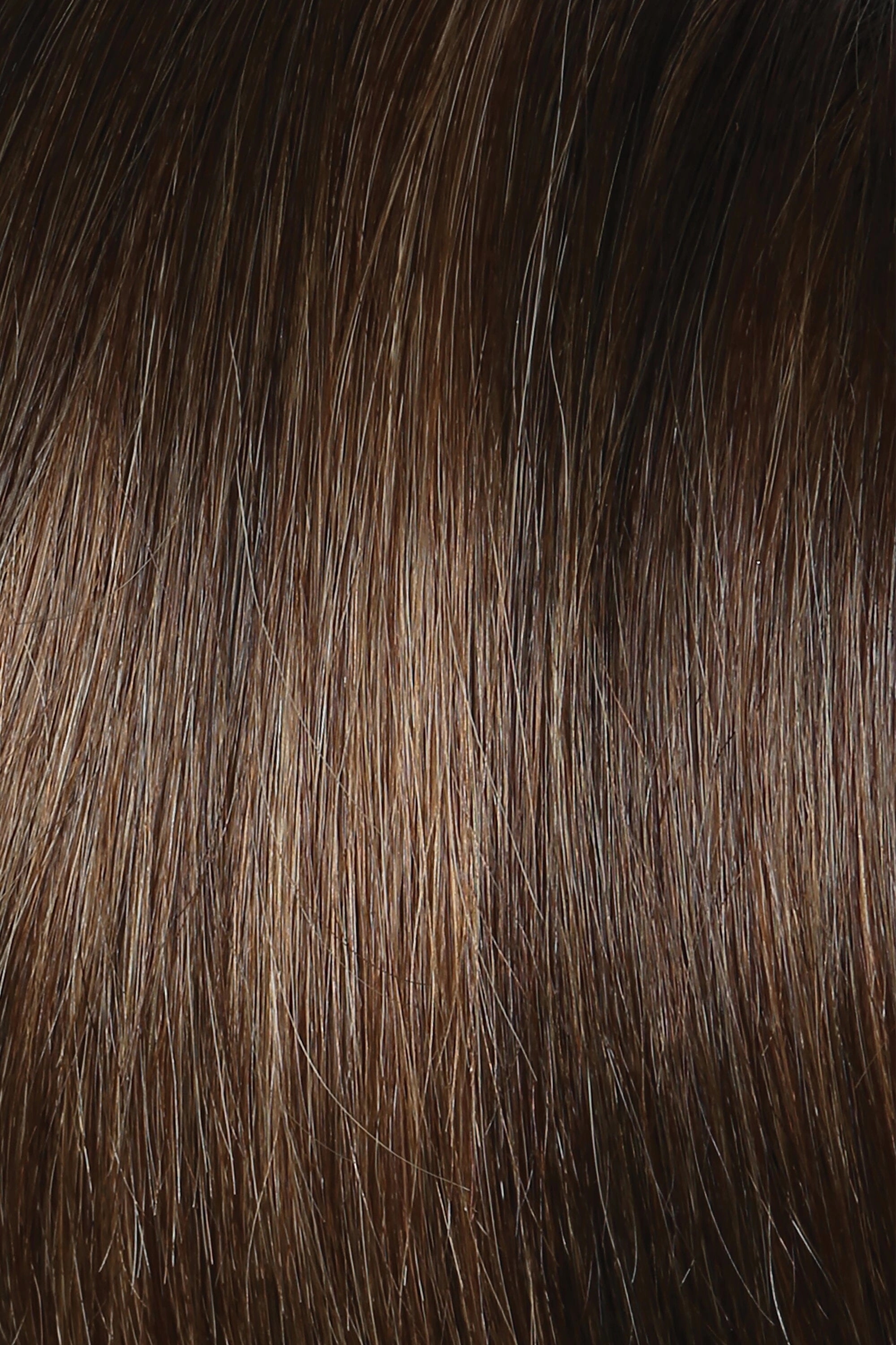 Accessories_Raquel Welch_Wigs Winner LARGE Wig by Raquel Welch