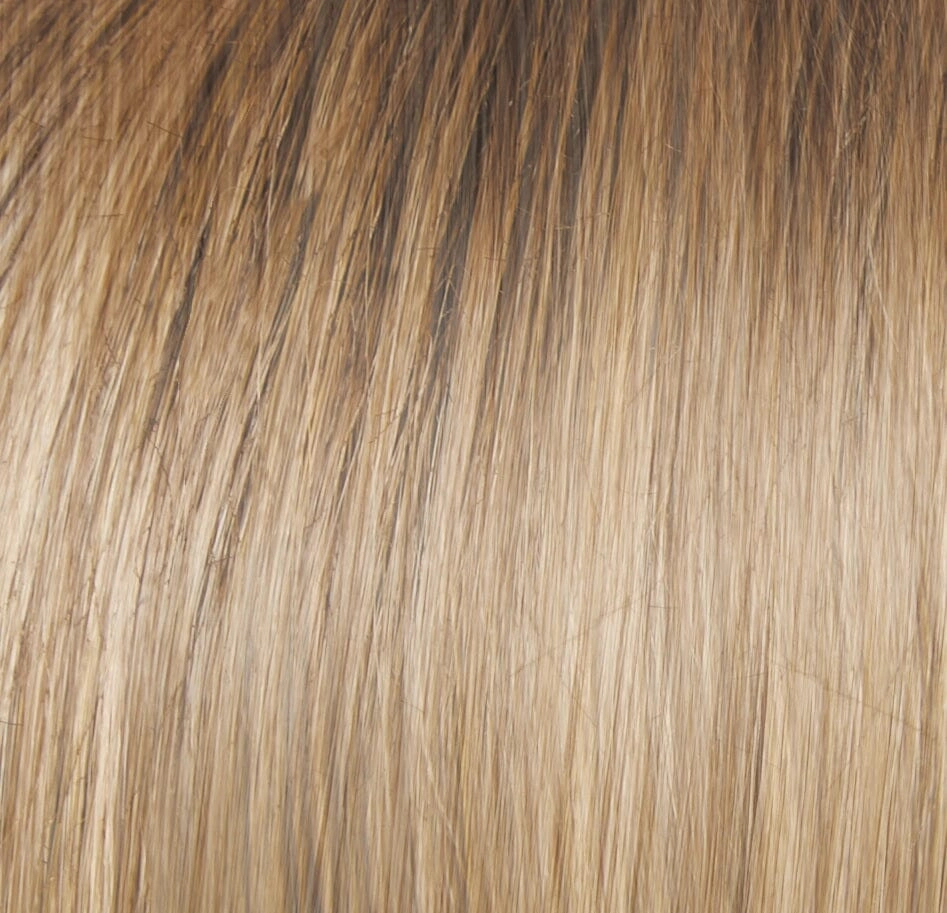 Accessories_Raquel Welch_Wigs Winner LARGE Wig by Raquel Welch