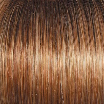 Accessories_Raquel Welch_Wigs Winner Premium