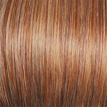 Accessories_Raquel Welch_Wigs Winner Premium