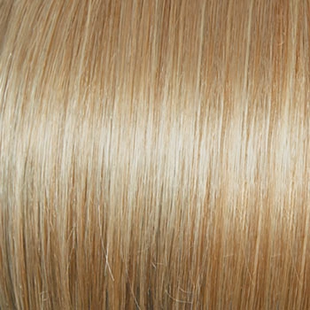 Accessories_Raquel Welch_Wigs Winner Premium