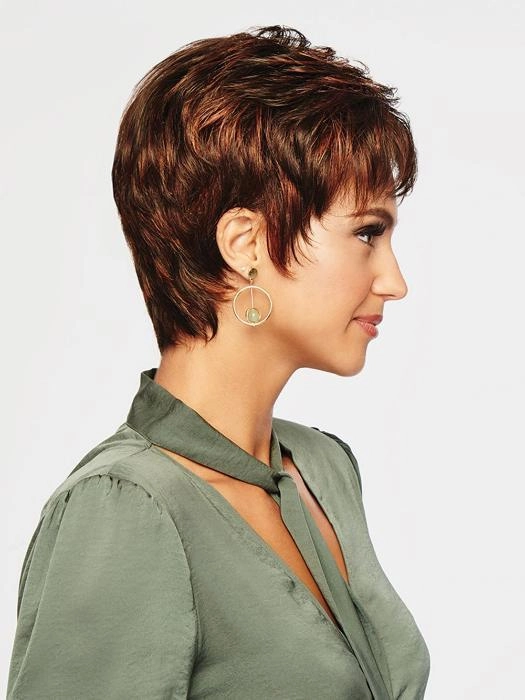 Accessories_Raquel Welch_Wigs Winner