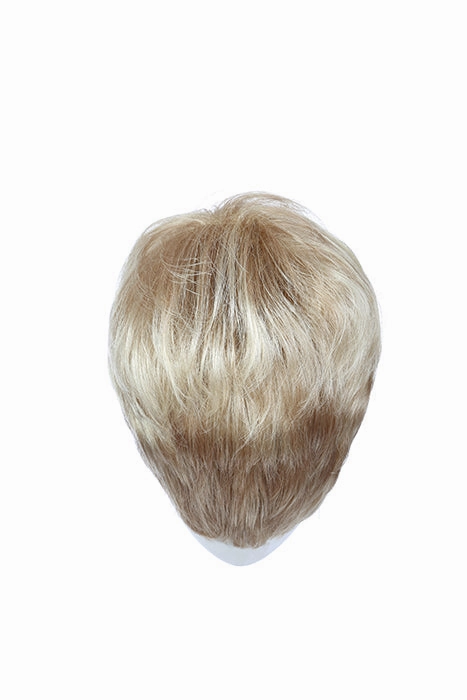 Accessories_Raquel Welch_Wigs Winner
