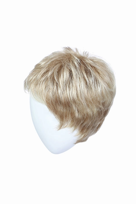Accessories_Raquel Welch_Wigs Winner