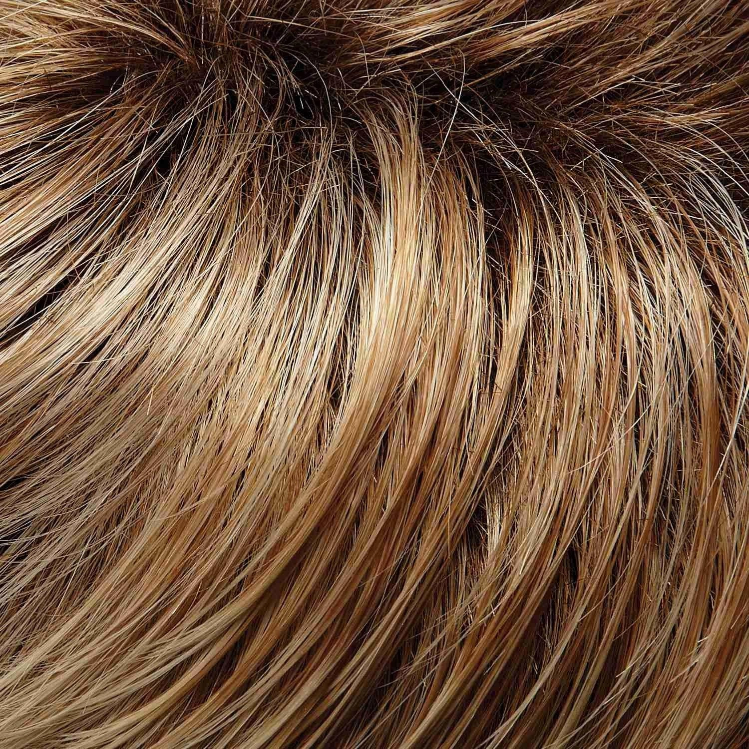 Anne Wig by Jon Renau | Heat Defiant Synthetic (Lace Front Hand Tied Mono Top)
