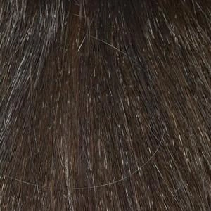 Aria Wig by Envy | Human Hair Blend (Capless)