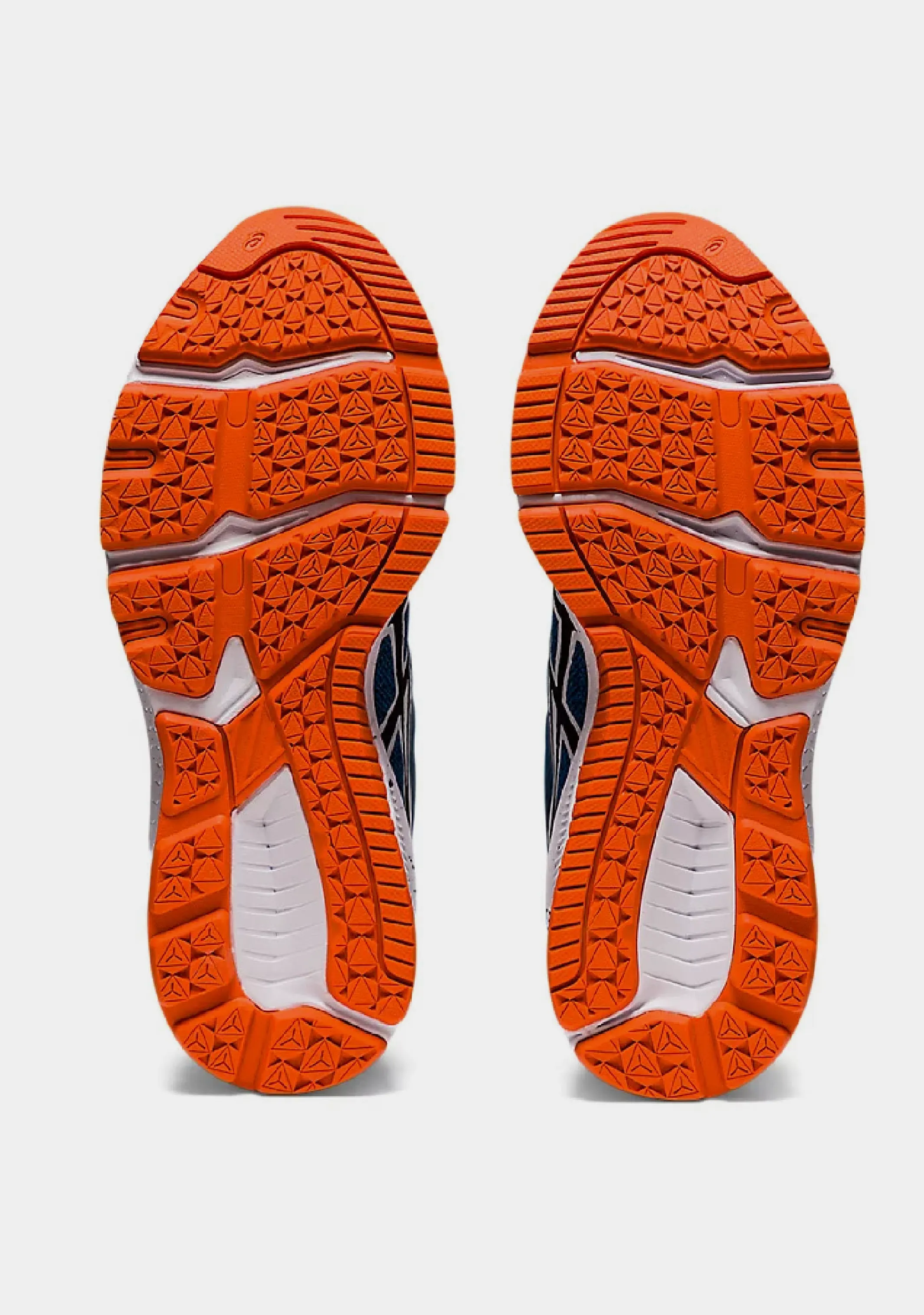Asics Junior GT 1000 10 GS