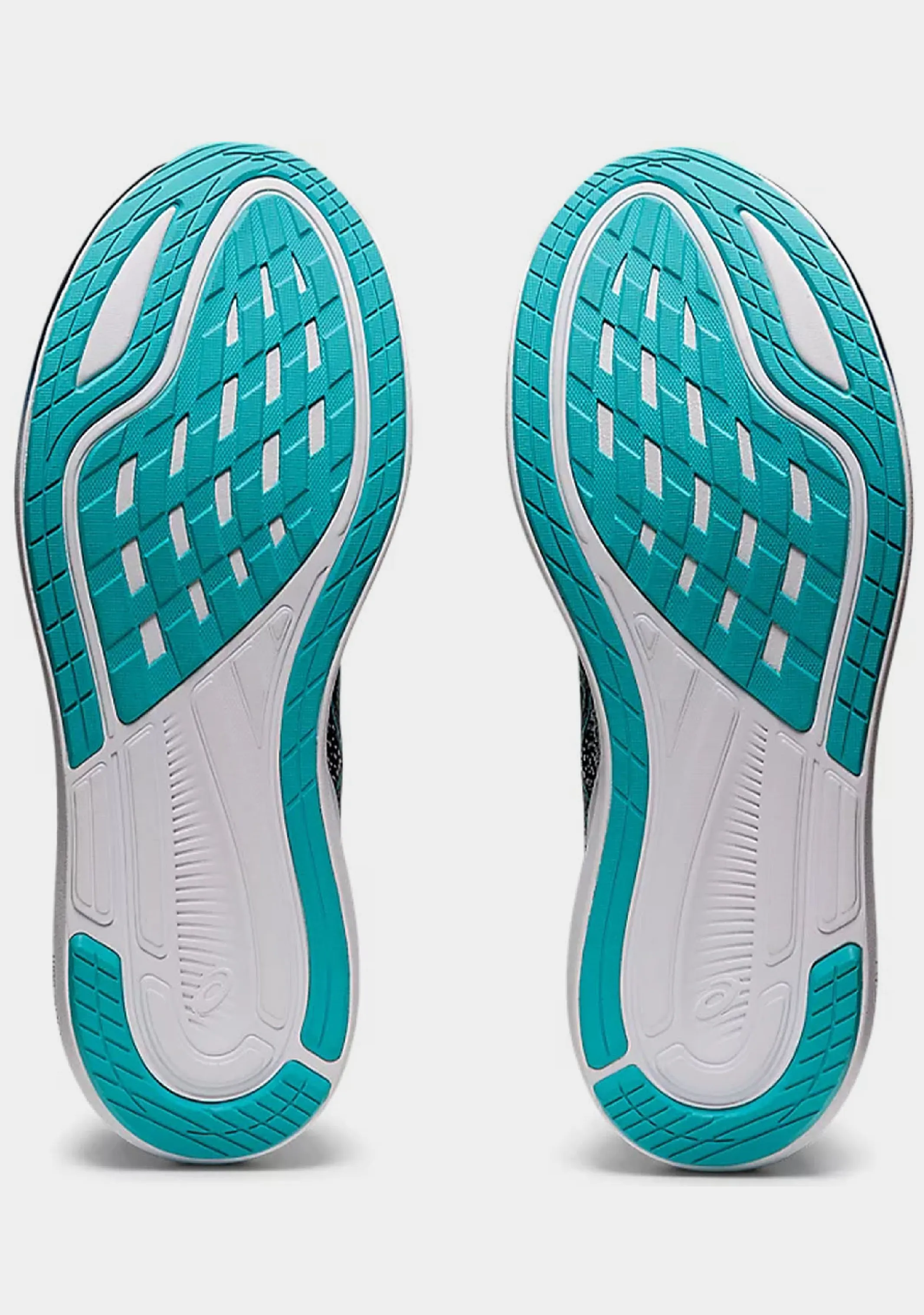 Asics Men’s Evoride 3