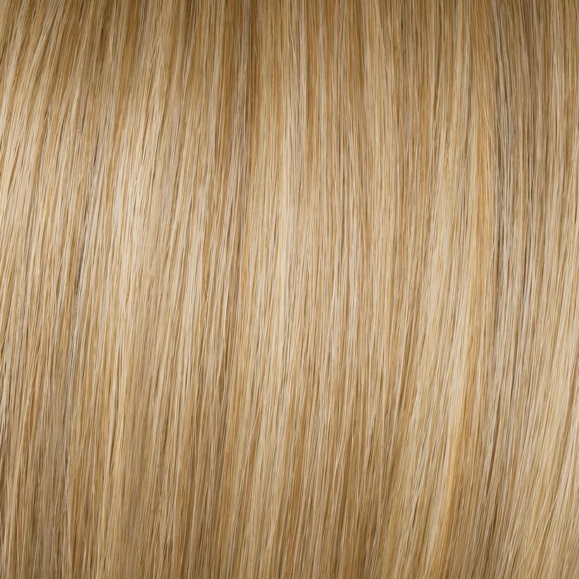 Beaming Beauty Wig By Gabor | Synthetic (Lace Front Mono)