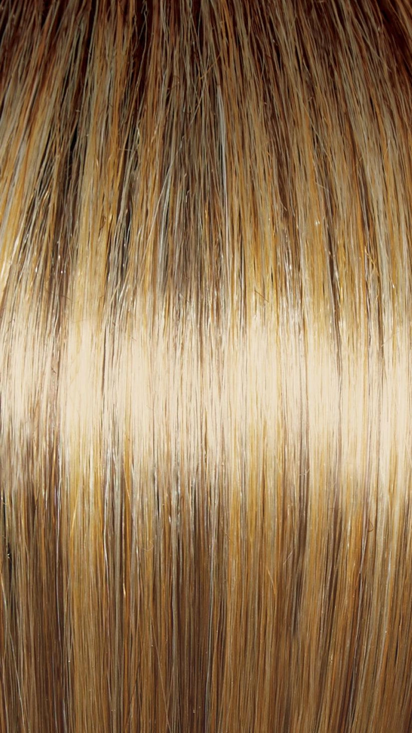 Beaming Beauty Wig By Gabor | Synthetic (Lace Front Mono)