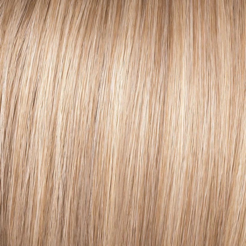 Beaming Beauty Wig By Gabor | Synthetic (Lace Front Mono)