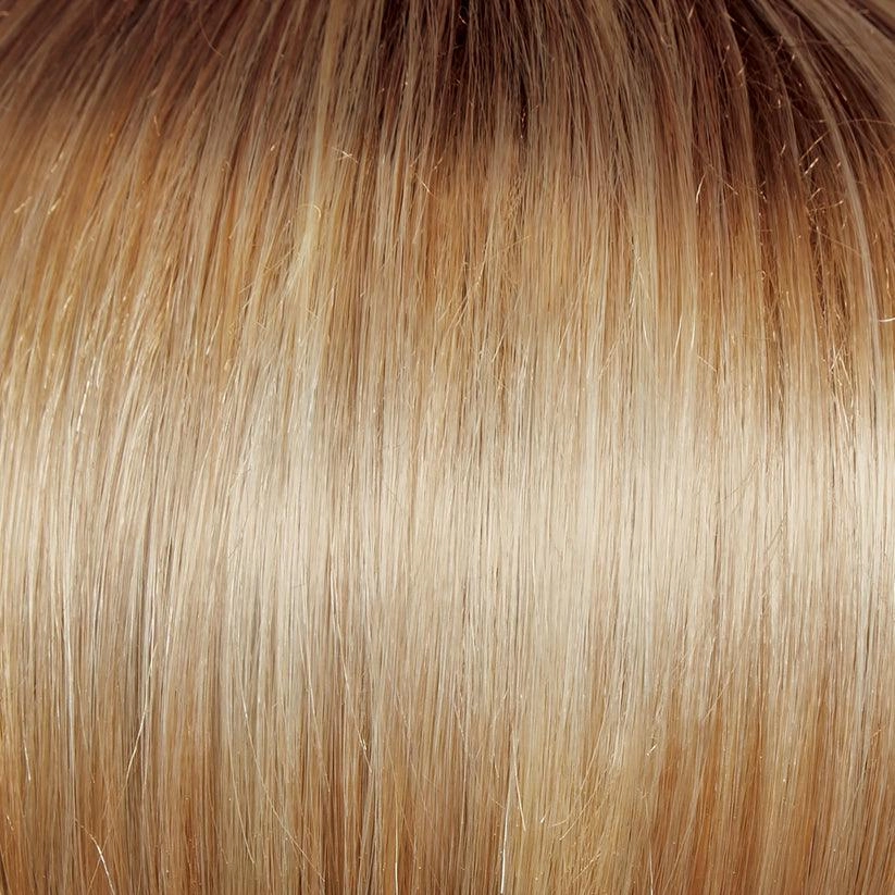 Beaming Beauty Wig By Gabor | Synthetic (Lace Front Mono)