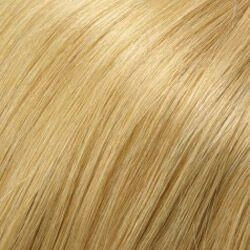 Blake (Renau Colors) Wig by Jon Renau | Remy Human Hair (Lace Front Hand Tied Mono Top)