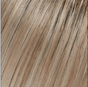 Blake (Renau Colors) Wig by Jon Renau | Remy Human Hair (Lace Front Hand Tied Mono Top)