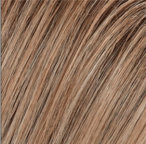 Blake (Renau Colors) Wig by Jon Renau | Remy Human Hair (Lace Front Hand Tied Mono Top)