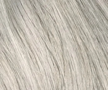 Celeste Large wig - Envy Collection