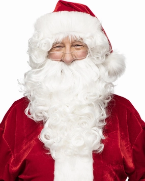 Christmas Santa Deluxe Wig and Beard Set