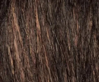 Danielle wig - Envy Collection