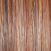 Day to Date Wig by Raquel Welch | Heat Resistant Synthetic Lace Front (Mono Part)