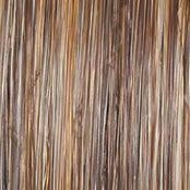 Day to Date Wig by Raquel Welch | Heat Resistant Synthetic Lace Front (Mono Part)