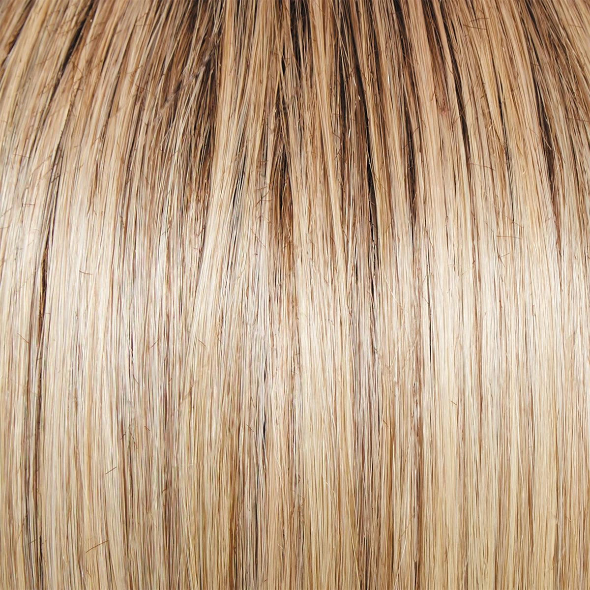 Day to Date Wig by Raquel Welch | Heat Resistant Synthetic Lace Front (Mono Part)