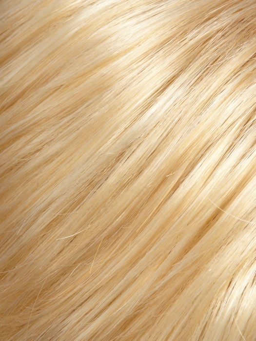 easiPony 20&quot; by Jon Renau | easiTress Human Hair | Pony Hair Extension
