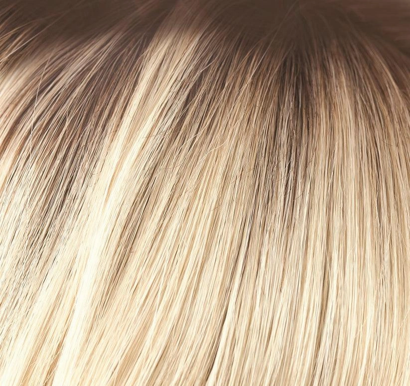 Evanna Wig by Amore | Synthetic (Lace Front Mono Part)