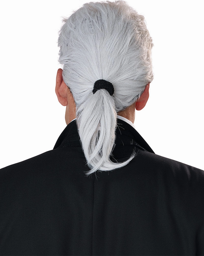 Fashion Legend Grey Ponytail Wig