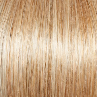 Gala Wig by Gabor | Large Cap Size | Basic Cap | Synthetic Fiber
