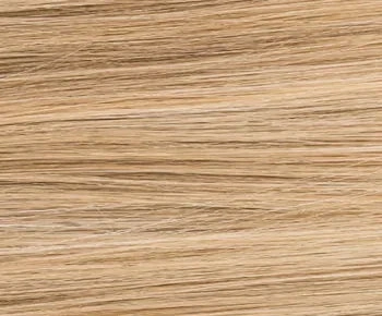 Icone Lace wig - Ellen Wille Hair Society Collection