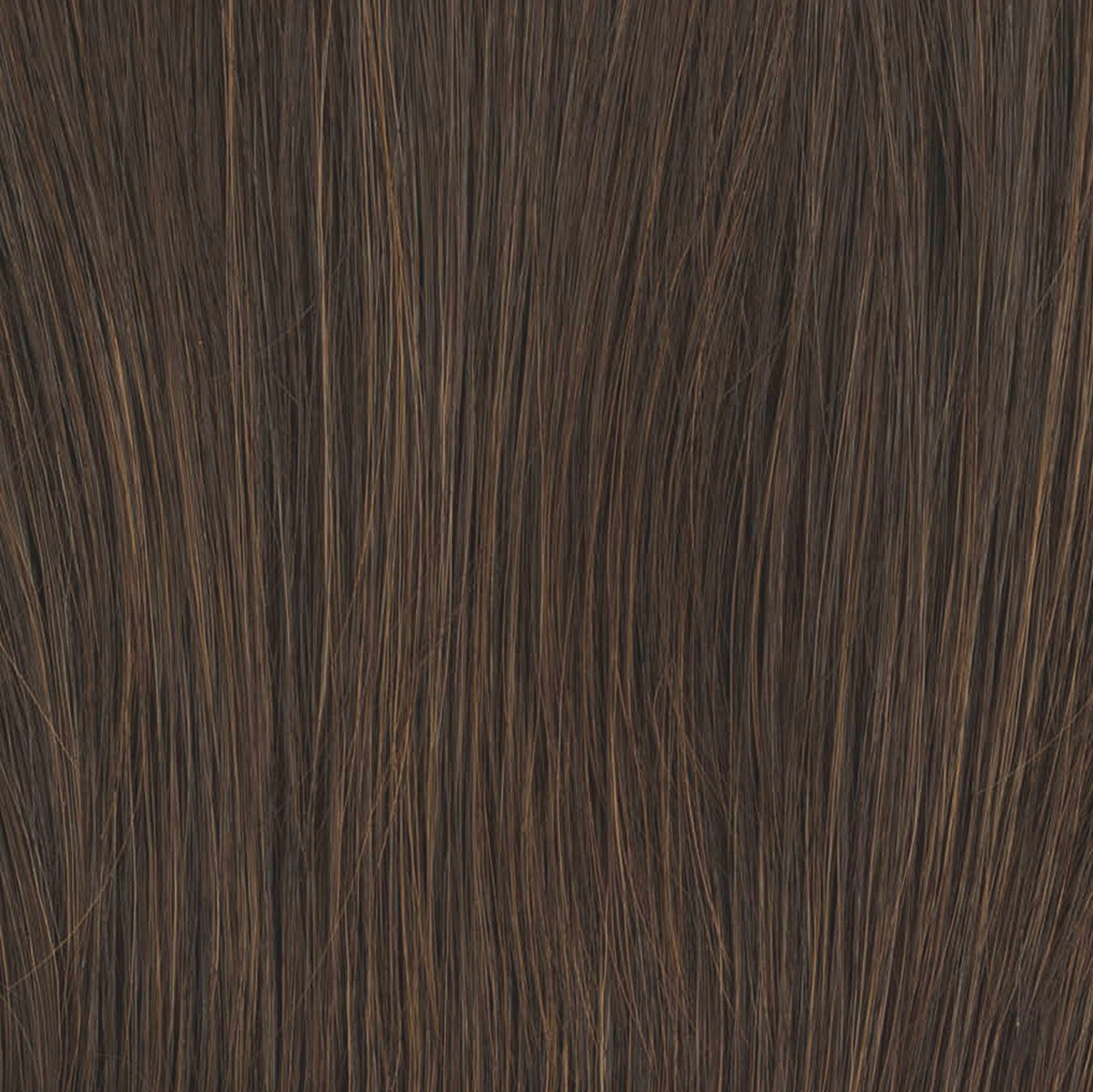 In Charge Wig by Raquel Welch