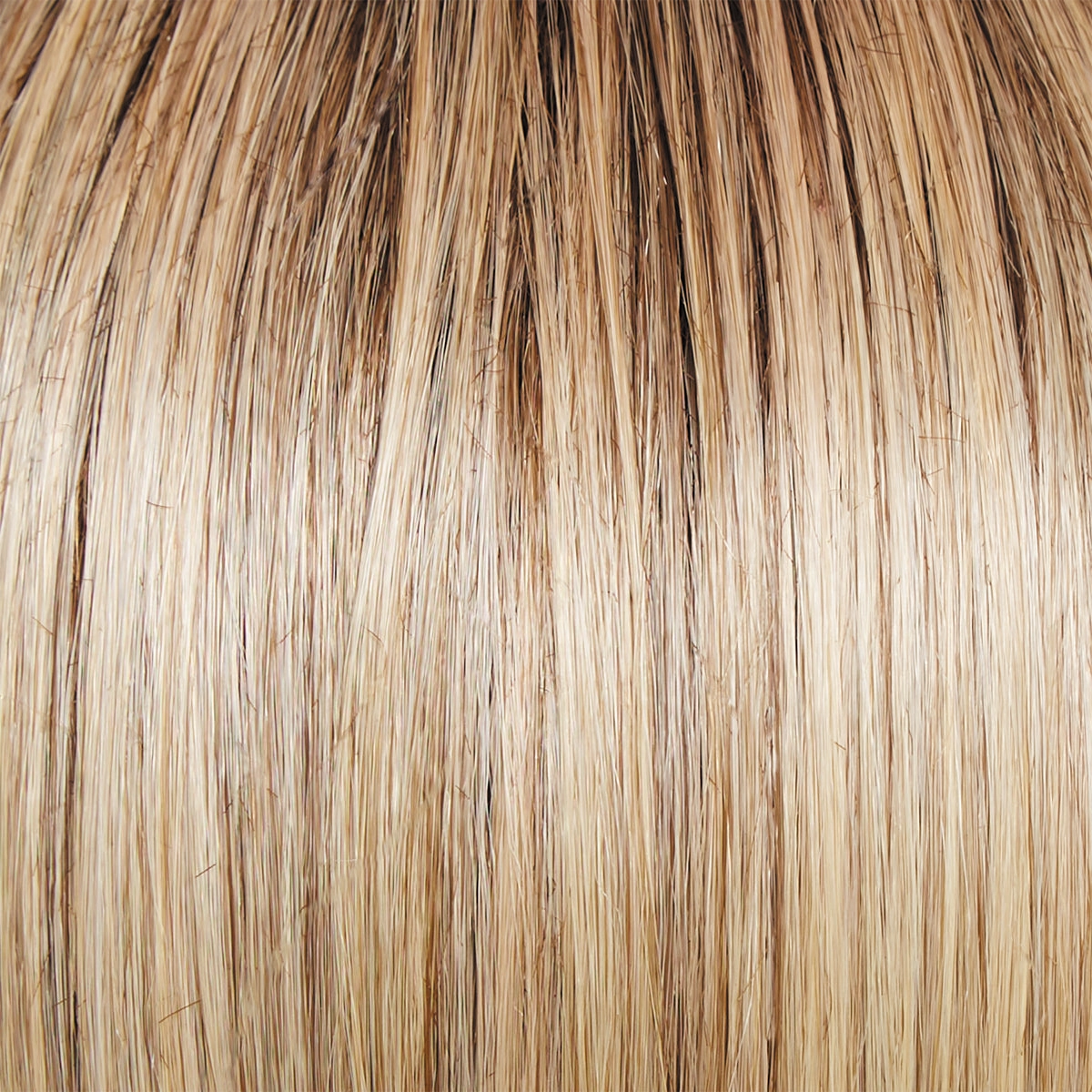 In Charge Wig by Raquel Welch