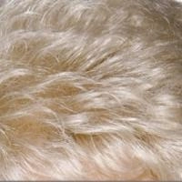 Isabella wig - Feather Premier
