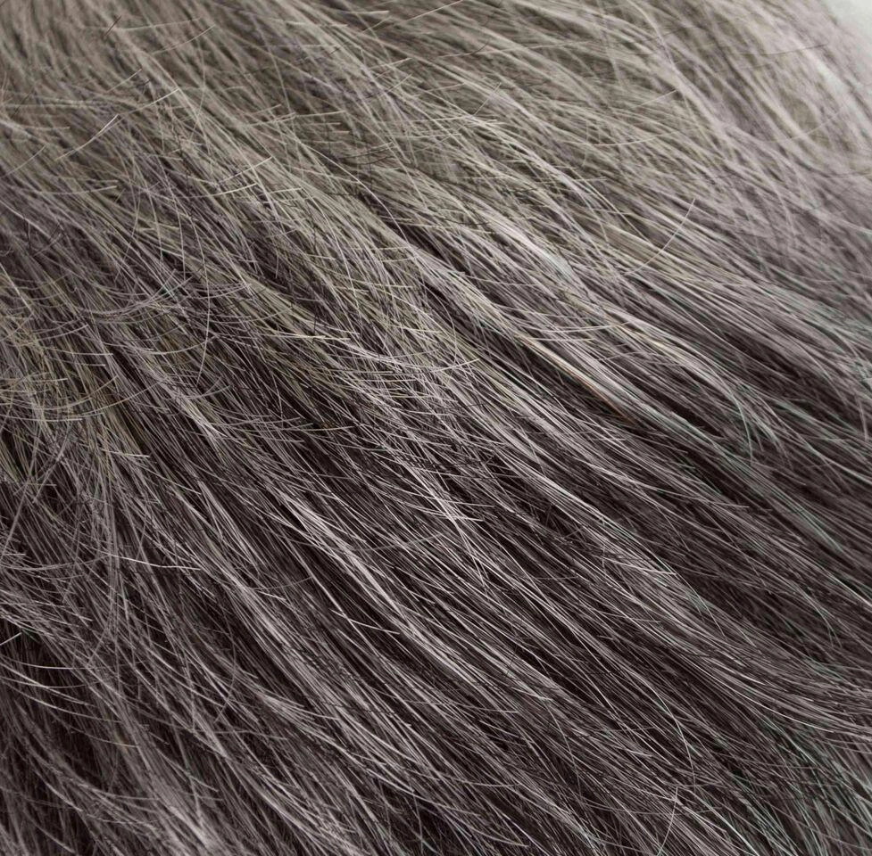 Jewel Wig by Tony of Beverly | Synthetic Wig (Traditional Cap)