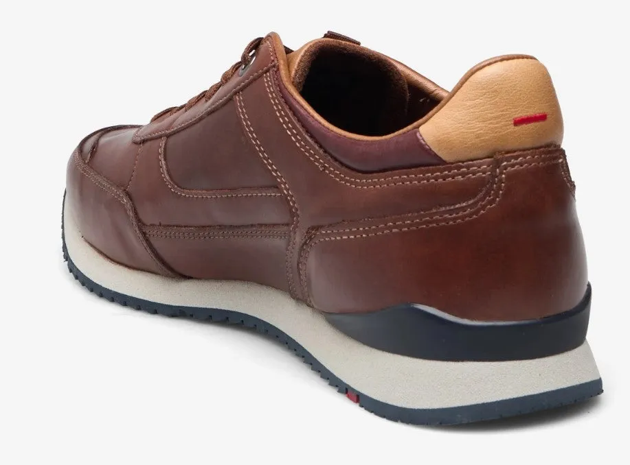 Lloyd Editta Brown Laced Shoes Brown