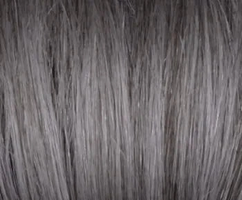 Luca wig - Rene of Paris Hi-Fashion