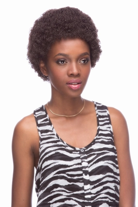 Mini Afro <br>Synthetic Wig