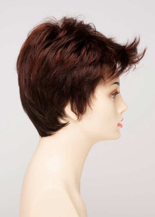 Raven | Synthetic Lace Front Wig (Basic Cap)