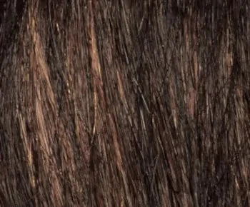 Sam wig - Envy Collection