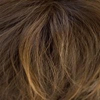 Scorpio PM wig - The Orchid Collection