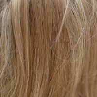 Scorpio PM wig - The Orchid Collection